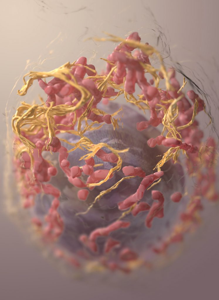AACR: cancer vaccine combination shows clinical activity in advanced solid tumors
