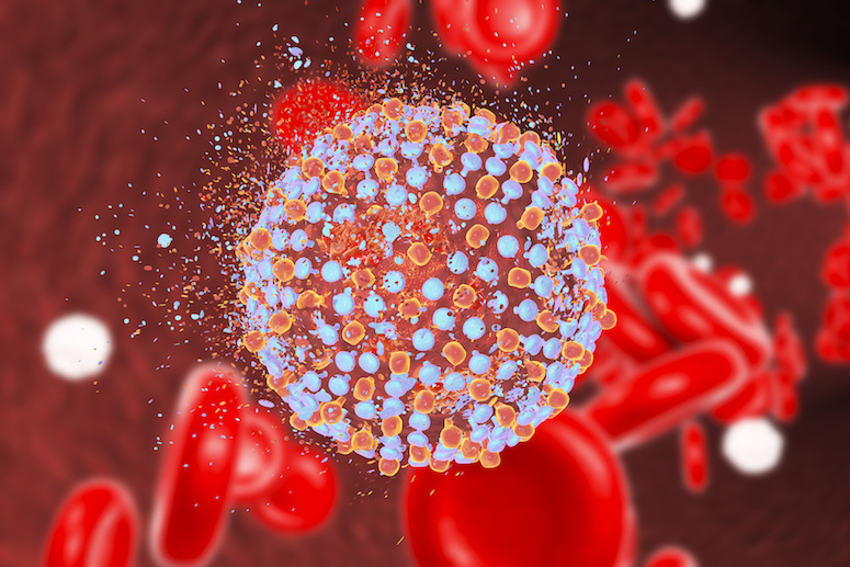 Thank you virologists! – Nobel Prize spotlights virus-associated cancers
