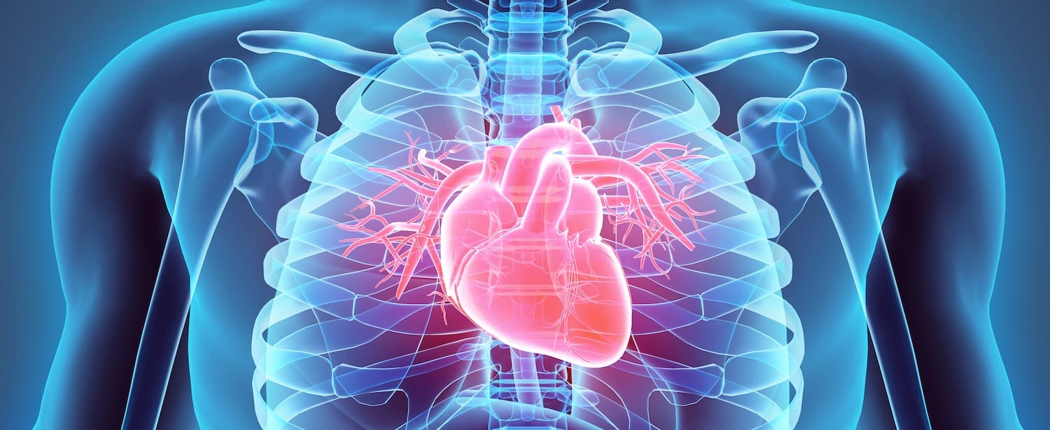 Immunotherapy cardiotoxicity higher than previously estimated