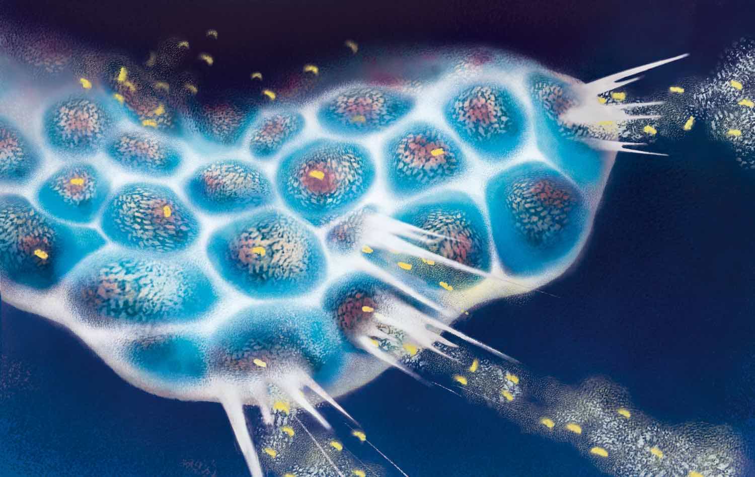 Oncolytic viruses – a new wave of therapeutic possibilities