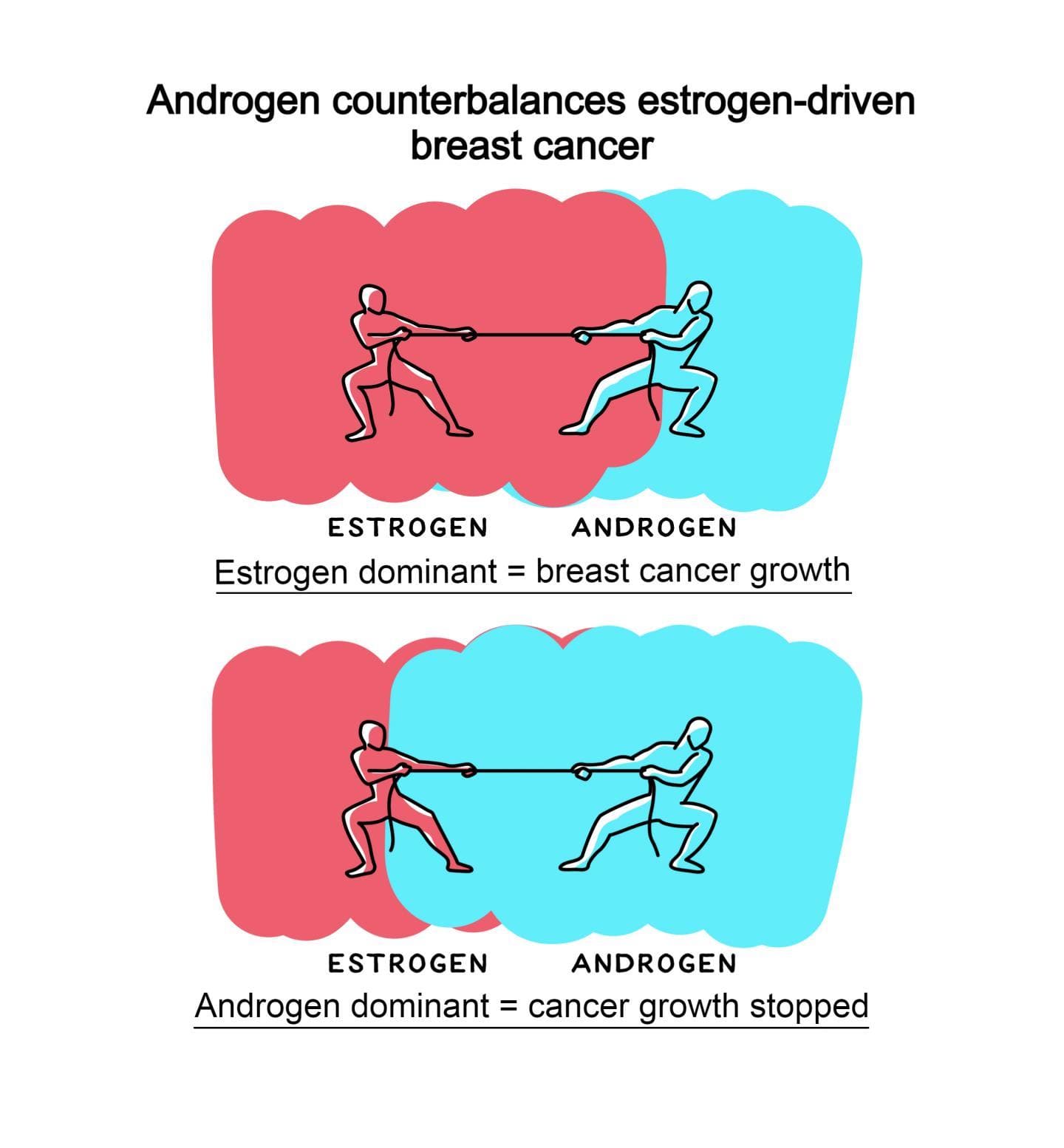 Therapy targeting androgen receptors opens new chapter for hormone driven breast cancers