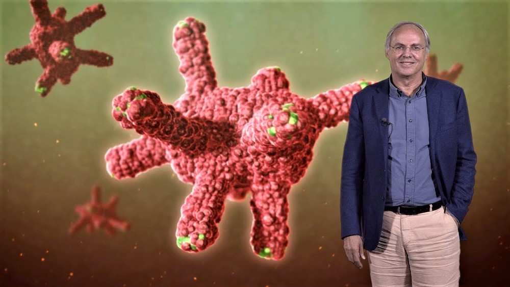 The development of organoids for cancer research: an ode to the scientific method