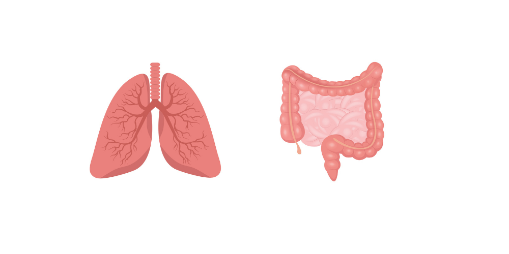 What’s new in lung and colorectal cancer? reports from ESMO 2021
