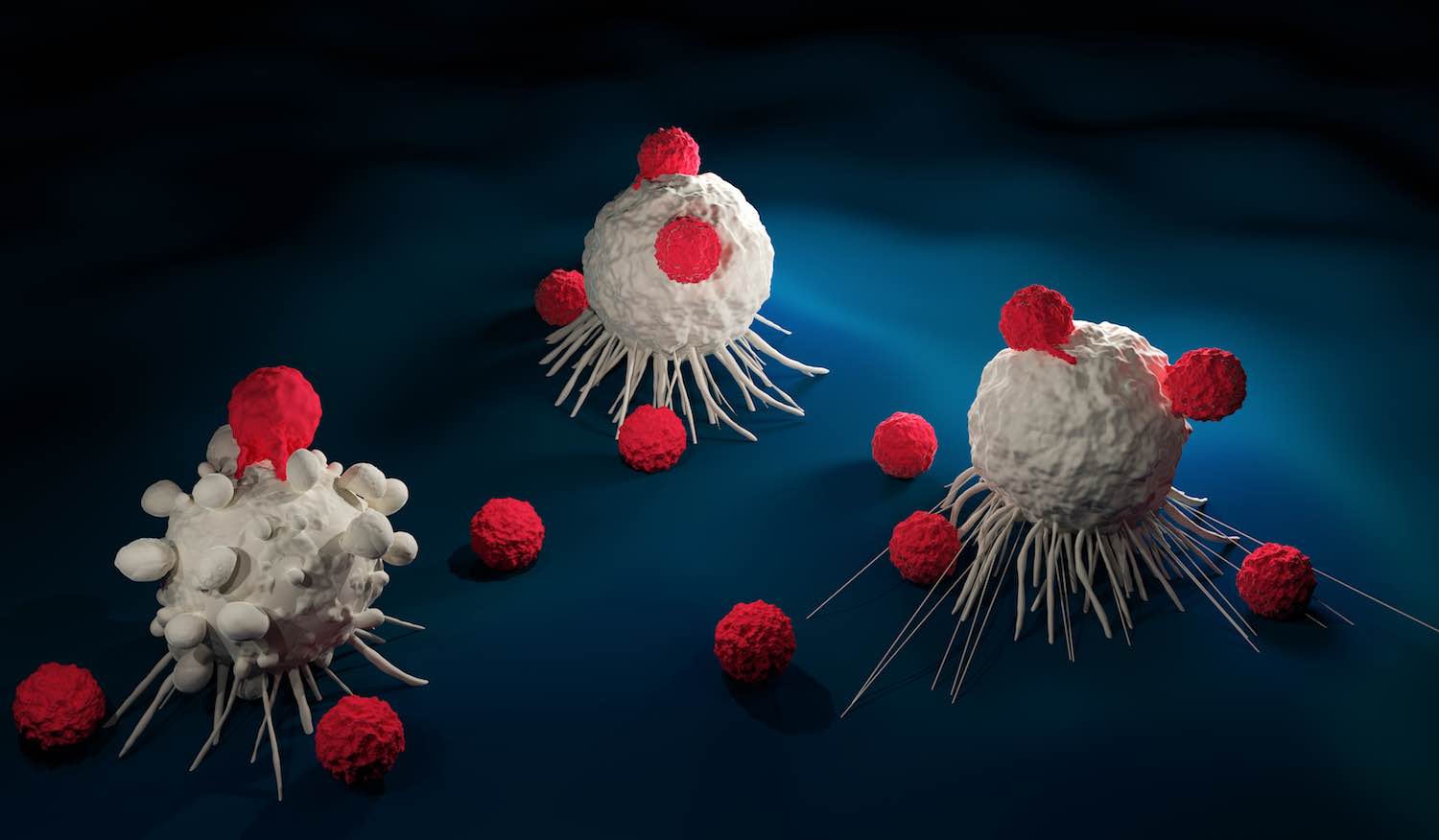 CAR T-cell therapy shows efficacy in solid tumours