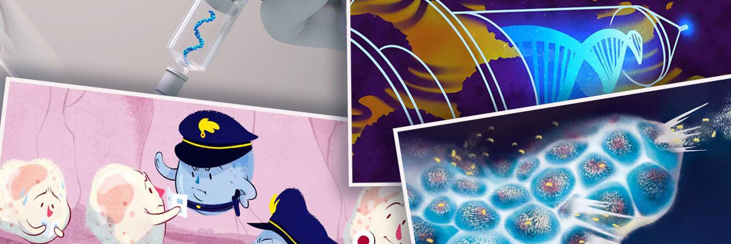 Cancer and the immune system: turning insights into treatments