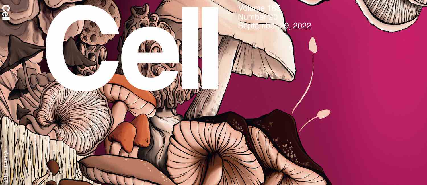 Fungal communities are a key part of cancer cell biology