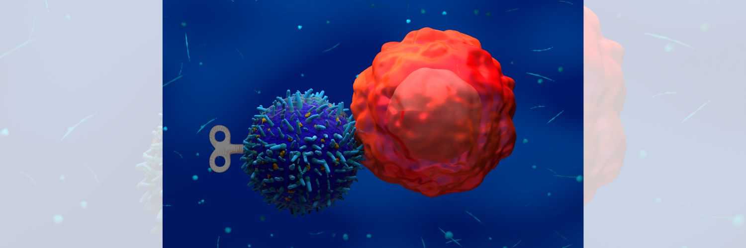 Transcriptional signature provides clue to CAR T cell longevity