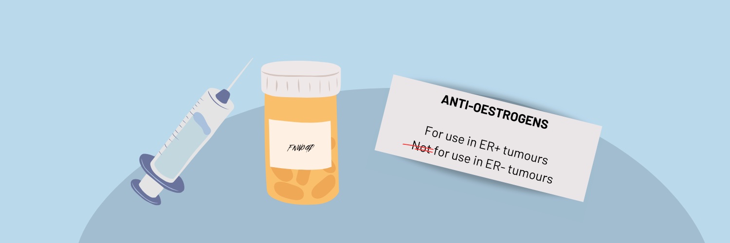 Anti-oestrogen provides novel strategy to boost checkpoint inhibitors