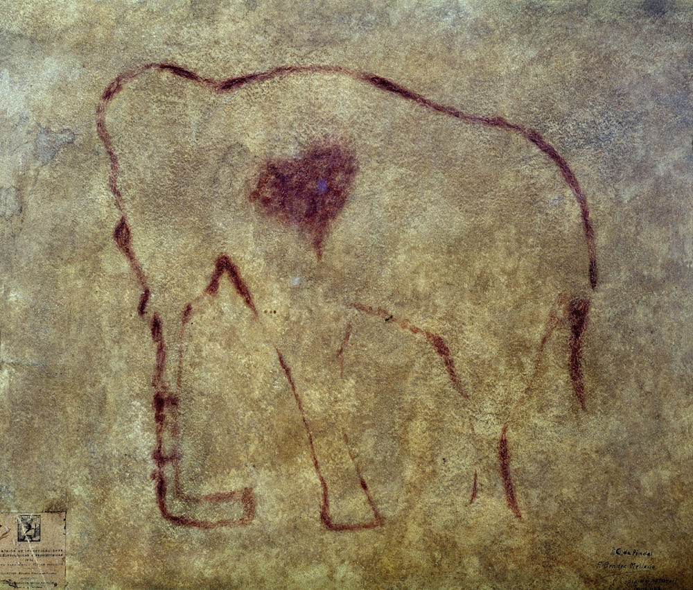 The cardiovascular system – what we’ve learned since our ‘cave man’ days