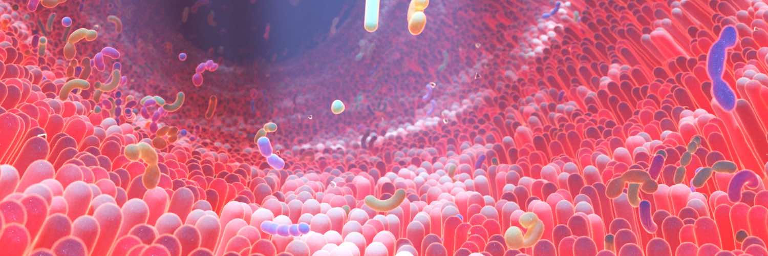 Gut microbiome offers new avenue for detecting colorectal cancer