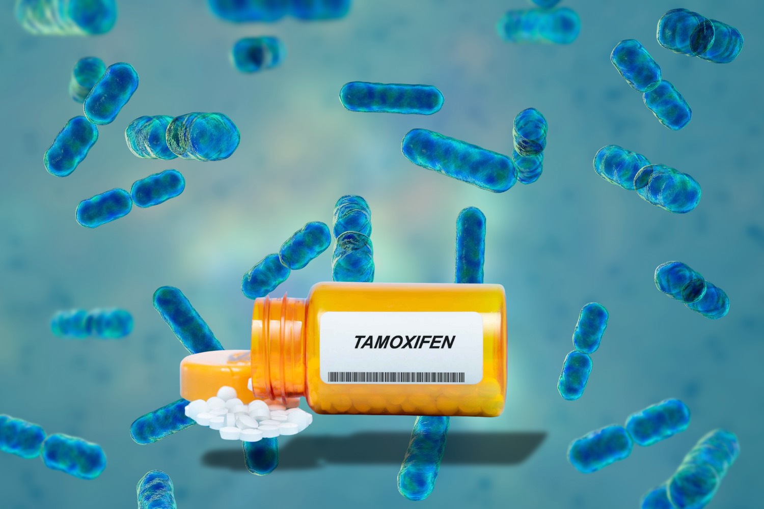 Gut microbiota influence effectiveness of tamoxifen in breast cancer